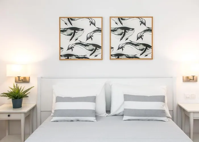 Rvhotels Sea Club Menorca 酒店